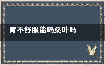 胃不舒服能喝桑叶吗 胃不舒服能喝桑叶不(胃不舒服能喝桑葚水吗)